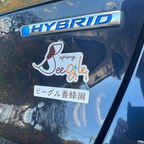 ロゴステッカー